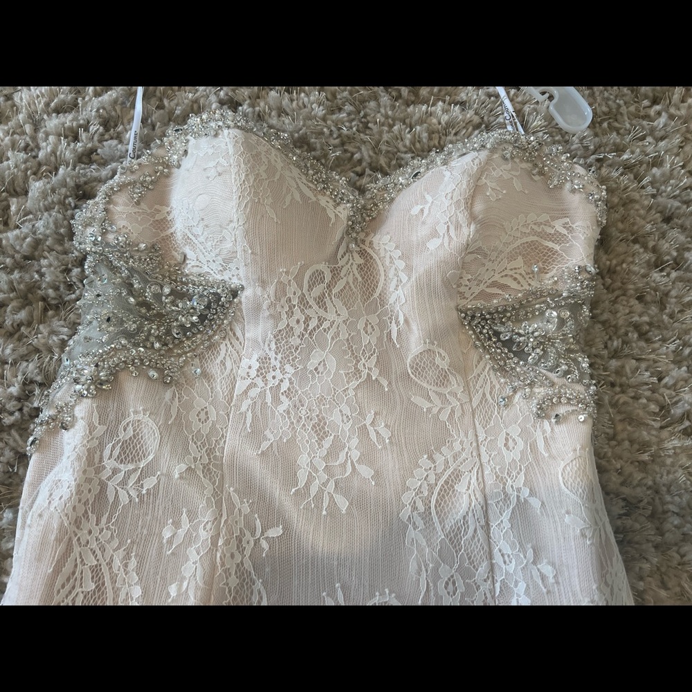 Lace blush wedding gown - Picture 3 of 6